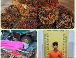 Mengurai Benang Kusut Sawit MHL: Polres Bangka Tengah Tabrak Isu Liar Lewat Fakta Hukum dan Bukti Material